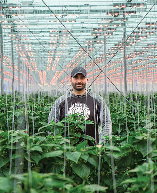Gene Ingratta, Allegro Acres
