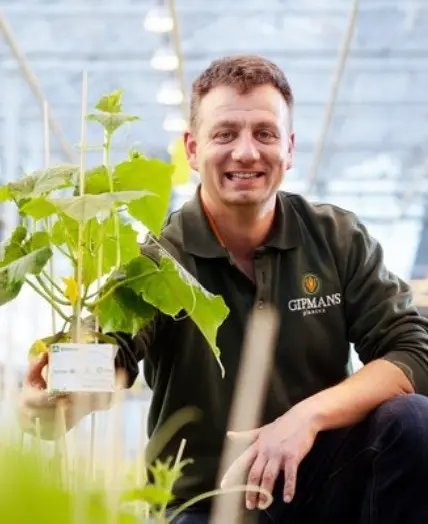Rudi Lanaers, Gipmans Planten