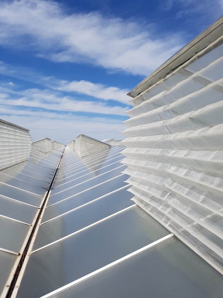 16303287 (4) 16303287 (4)