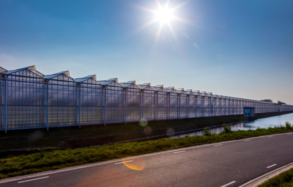 Fotostudio Gerard-Jan Vlekke / Fotovak